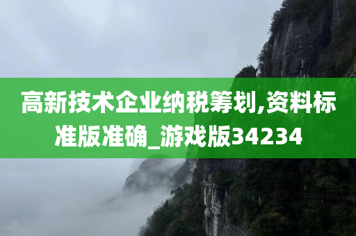 高新技术企业纳税筹划,资料标准版准确_游戏版34234