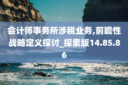 会计师事务所涉税业务,前瞻性战略定义探讨_探索版14.85.86