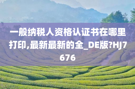 一般纳税人资格认证书在哪里打印,最新最新的全_DE版?HJ7676