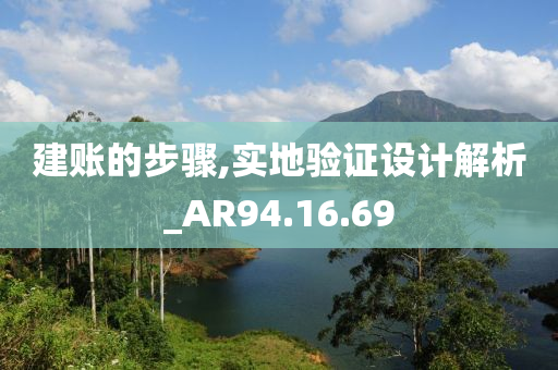 建账的步骤,实地验证设计解析_AR94.16.69