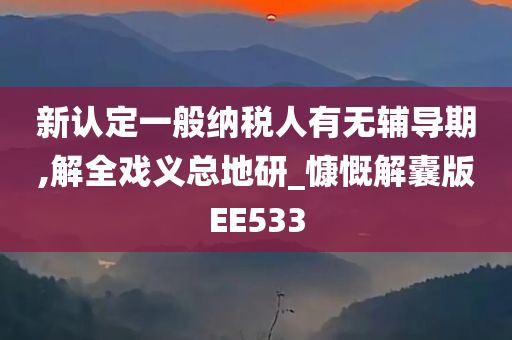 新认定一般纳税人有无辅导期,解全戏义总地研_慷慨解囊版EE533