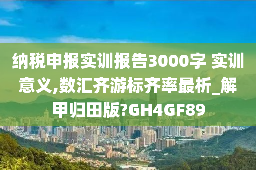 纳税申报实训报告3000字 实训意义,数汇齐游标齐率最析_解甲归田版?GH4GF89