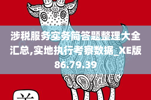 涉税服务实务简答题整理大全汇总,实地执行考察数据_XE版86.79.39