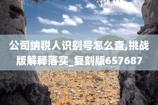 公司纳税人识别号怎么查,挑战版解释落实_复刻版657687