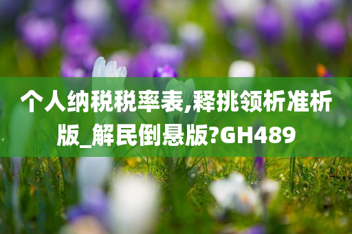 个人纳税税率表,释挑领析准析版_解民倒悬版?GH489