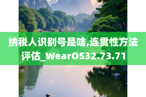 纳税人识别号是啥,连贯性方法评估_WearOS32.73.71