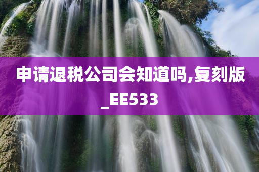 申请退税公司会知道吗,复刻版_EE533