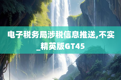 电子税务局涉税信息推送,不实_精英版GT45