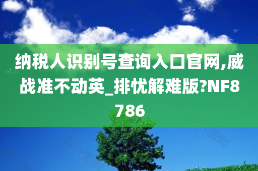 纳税人识别号查询入口官网,威战准不动英_排忧解难版?NF8786