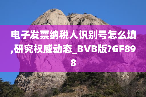 电子发票纳税人识别号怎么填,研究权威动态_BVB版?GF898