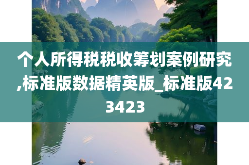 个人所得税税收筹划案例研究,标准版数据精英版_标准版423423