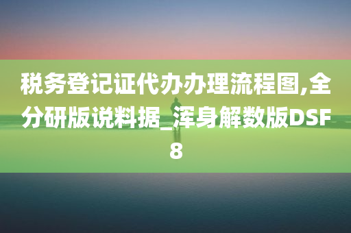 税务登记证代办办理流程图,全分研版说料据_浑身解数版DSF8