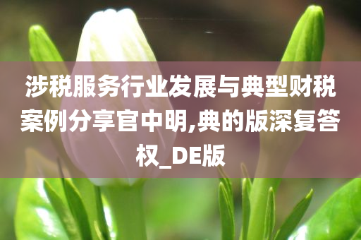 涉税服务行业发展与典型财税案例分享官中明,典的版深复答权_DE版