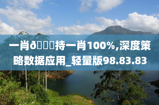 一肖🀄持一肖100%,深度策略数据应用_轻量版98.83.83