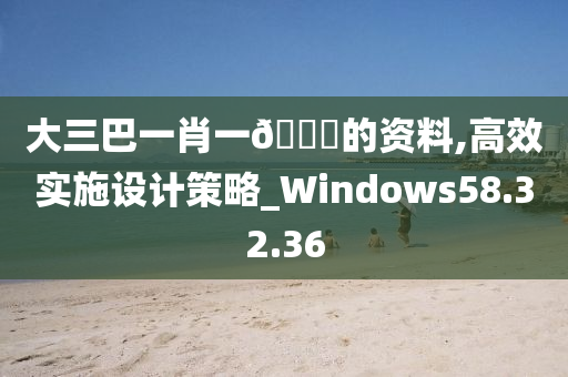 大三巴一肖一🐎的资料,高效实施设计策略_Windows58.32.36