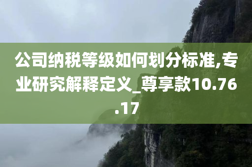 公司纳税等级如何划分标准,专业研究解释定义_尊享款10.76.17