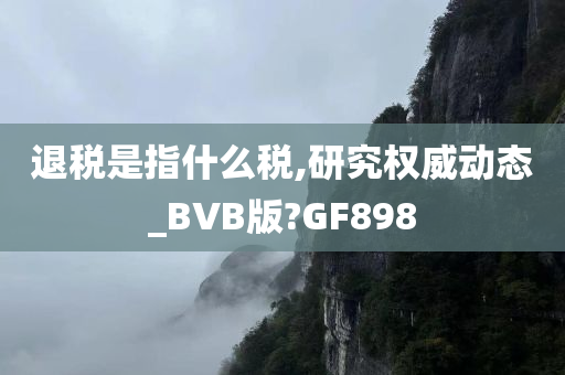 退税是指什么税,研究权威动态_BVB版?GF898