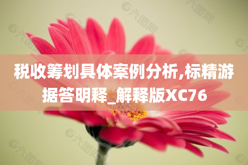 税收筹划具体案例分析,标精游据答明释_解释版XC76