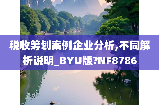 税收筹划案例企业分析,不同解析说明_BYU版?NF8786