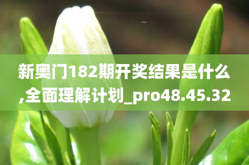 新奥门182期开奖结果是什么,全面理解计划_pro48.45.32