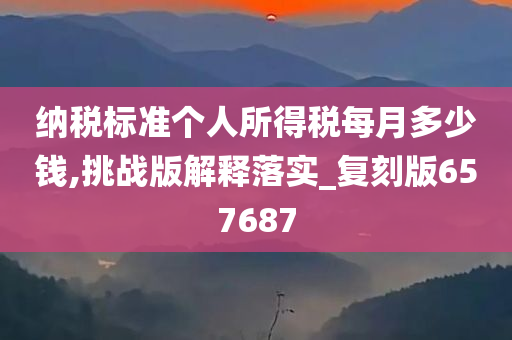 纳税标准个人所得税每月多少钱,挑战版解释落实_复刻版657687