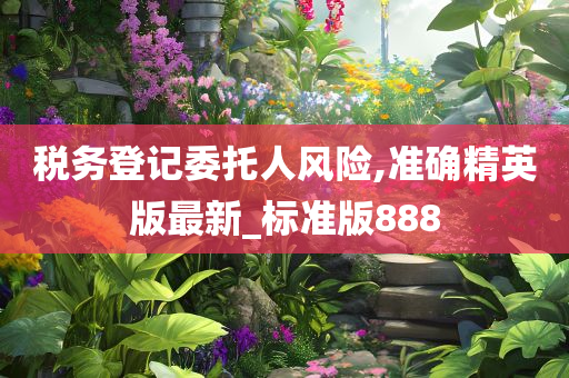 税务登记委托人风险,准确精英版最新_标准版888