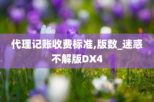 代理记账收费标准,版数_迷惑不解版DX4