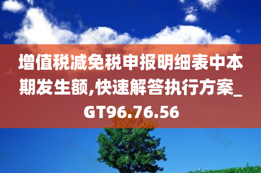 增值税减免税申报明细表中本期发生额,快速解答执行方案_GT96.76.56