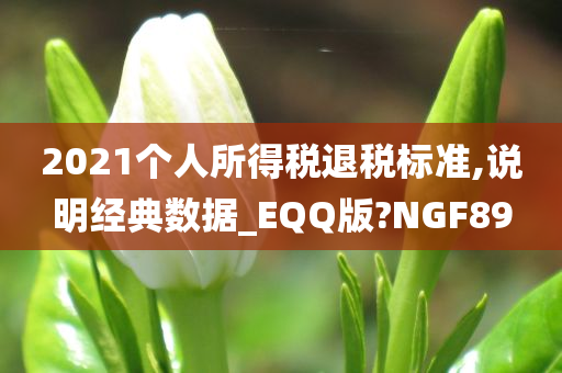 2021个人所得税退税标准,说明经典数据_EQQ版?NGF89