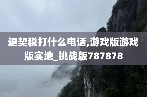 退契税打什么电话,游戏版游戏版实地_挑战版787878