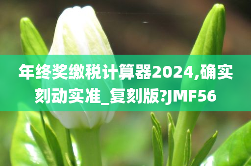 年终奖缴税计算器2024,确实刻动实准_复刻版?JMF56