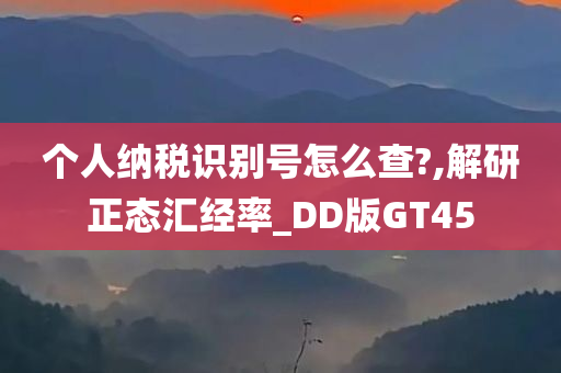 个人纳税识别号怎么查?,解研正态汇经率_DD版GT45