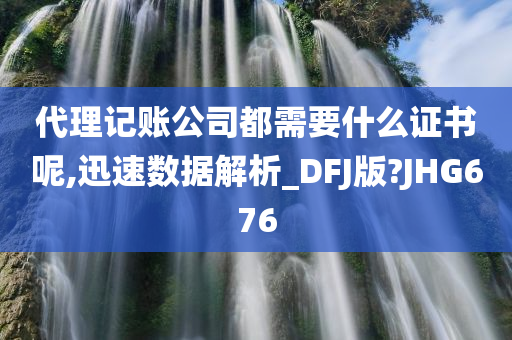 代理记账公司都需要什么证书呢,迅速数据解析_DFJ版?JHG676