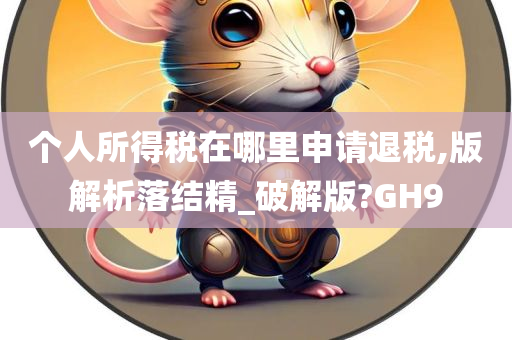 个人所得税在哪里申请退税,版解析落结精_破解版?GH9