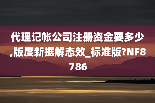 代理记帐公司注册资金要多少,版度新据解态效_标准版?NF8786