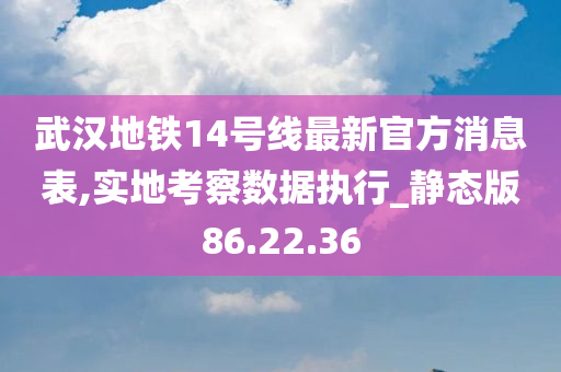 武汉地铁14号线最新官方消息表,实地考察数据执行_静态版86.22.36