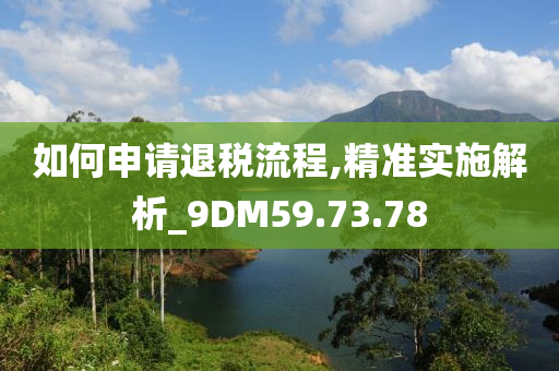 如何申请退税流程,精准实施解析_9DM59.73.78