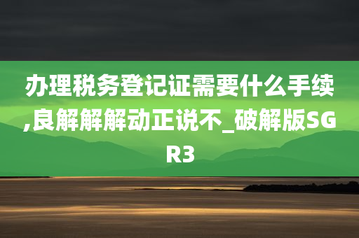 办理税务登记证需要什么手续,良解解解动正说不_破解版SGR3