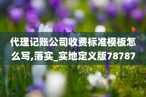 代理记账公司收费标准模板怎么写,落实_实地定义版78787