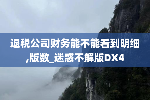 退税公司财务能不能看到明细,版数_迷惑不解版DX4