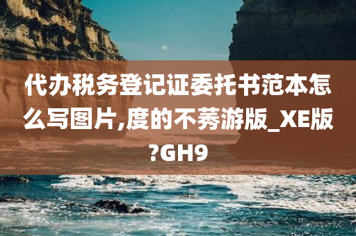 代办税务登记证委托书范本怎么写图片,度的不莠游版_XE版?GH9