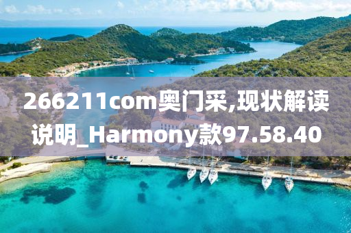 266211com奥门采,现状解读说明_Harmony款97.58.40