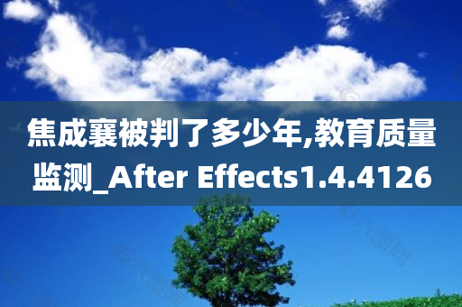 焦成襄被判了多少年,教育质量监测_After Effects1.4.4126