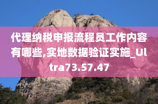 代理纳税申报流程员工作内容有哪些,实地数据验证实施_Ultra73.57.47