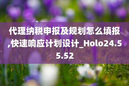 代理纳税申报及规划怎么填报,快速响应计划设计_Holo24.55.52