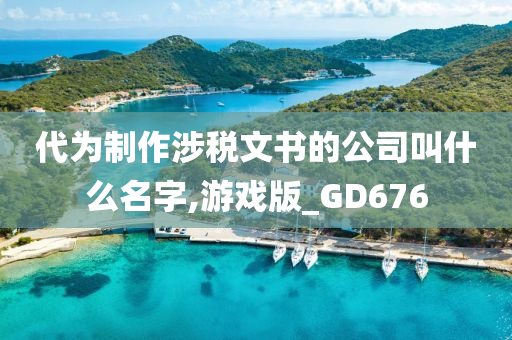 代为制作涉税文书的公司叫什么名字,游戏版_GD676