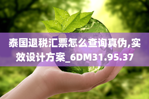 泰国退税汇票怎么查询真伪,实效设计方案_6DM31.95.37