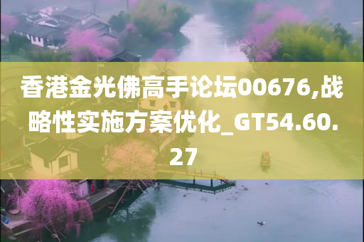 香港金光佛高手论坛00676,战略性实施方案优化_GT54.60.27