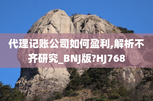 代理记账公司如何盈利,解析不齐研究_BNJ版?HJ768