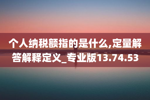 个人纳税额指的是什么,定量解答解释定义_专业版13.74.53